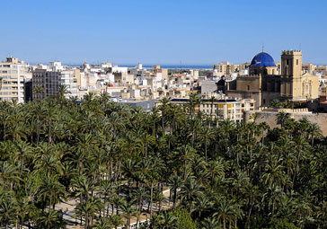 elche